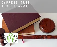 Cypress Tree  arbeitsanwalt