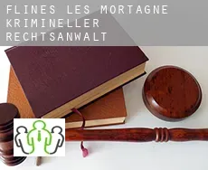 Flines-lès-Mortagne  krimineller rechtsanwalt