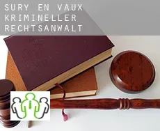 Sury-en-Vaux  krimineller rechtsanwalt