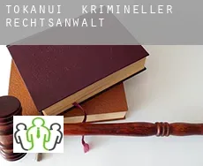 Tokanui krimineller rechtsanwalt