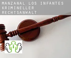 Manzanal de los Infantes  krimineller rechtsanwalt