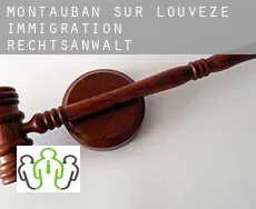 Montauban-sur-l'Ouvèze  immigration rechtsanwalt