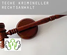 Têche  krimineller rechtsanwalt