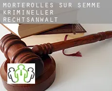 Morterolles-sur-Semme  krimineller rechtsanwalt