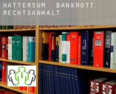 Hattersum  bankrott rechtsanwalt