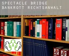 Spectacle Bridge  bankrott rechtsanwalt