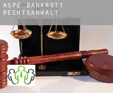 Aspe  bankrott rechtsanwalt