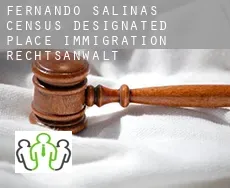 Fernando Salinas  immigration rechtsanwalt