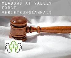 Meadows at Valley Forge  verletzungsanwalt