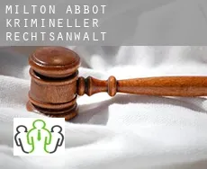Milton Abbot  krimineller rechtsanwalt