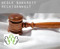 Nesle  bankrott rechtsanwalt