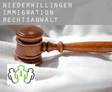 Niederwillingen  immigration rechtsanwalt