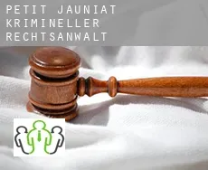 Petit Jauniat  krimineller rechtsanwalt