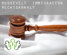 Roosevelt  immigration rechtsanwalt