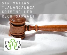 San Matías Tlalancaleca  krimineller rechtsanwalt