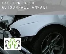 Eastern Bush  Autounfall Anwalt