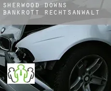 Sherwood Downs  bankrott rechtsanwalt