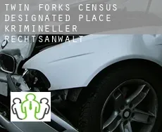 Twin Forks  krimineller rechtsanwalt