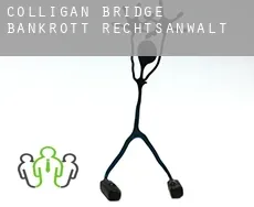 Colligan Bridge  bankrott rechtsanwalt