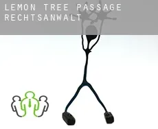 Lemon Tree Passage  rechtsanwalt