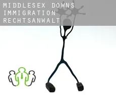 Middlesex Downs  immigration rechtsanwalt