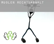 Muolen rechtsanwalt