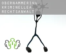 Obernammering krimineller rechtsanwalt