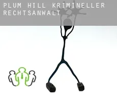 Plum Hill  krimineller rechtsanwalt