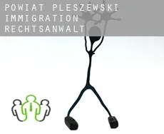 Powiat pleszewski immigration rechtsanwalt