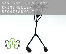 Savigny-sous-Faye  krimineller rechtsanwalt