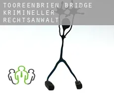 Tooreenbrien Bridge  krimineller rechtsanwalt