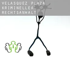 Velasquez Plaza  krimineller rechtsanwalt
