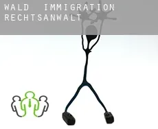 Wald  immigration rechtsanwalt