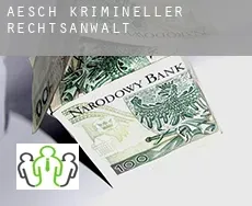 Aesch  krimineller rechtsanwalt