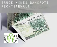 Bruce Mines  bankrott rechtsanwalt