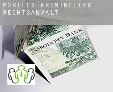 Moriles  krimineller rechtsanwalt