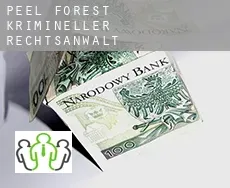 Peel Forest krimineller rechtsanwalt