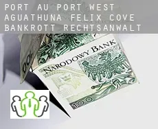 Port au Port West-Aguathuna-Felix Cove  bankrott rechtsanwalt