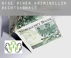 Wise River  krimineller rechtsanwalt