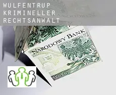 Wülfentrup  krimineller rechtsanwalt