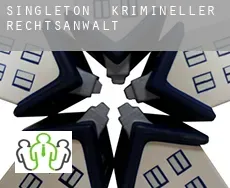 Singleton krimineller rechtsanwalt