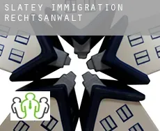 Slatey  immigration rechtsanwalt