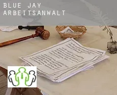 Blue Jay  arbeitsanwalt
