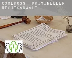 Coolross  krimineller rechtsanwalt