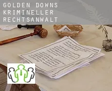 Golden Downs  krimineller rechtsanwalt