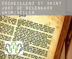 Escueillens-et-Saint-Just-de-Bélengard  krimineller rechtsanwalt