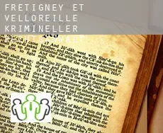 Fretigney-et-Velloreille  krimineller rechtsanwalt