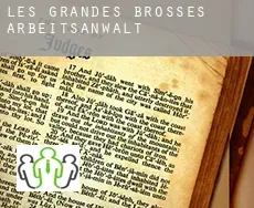 Les Grandes Brosses  arbeitsanwalt