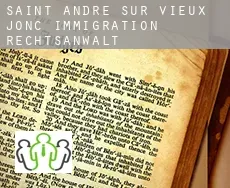 Saint-André-sur-Vieux-Jonc  immigration rechtsanwalt