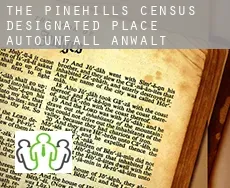 The Pinehills  Autounfall Anwalt